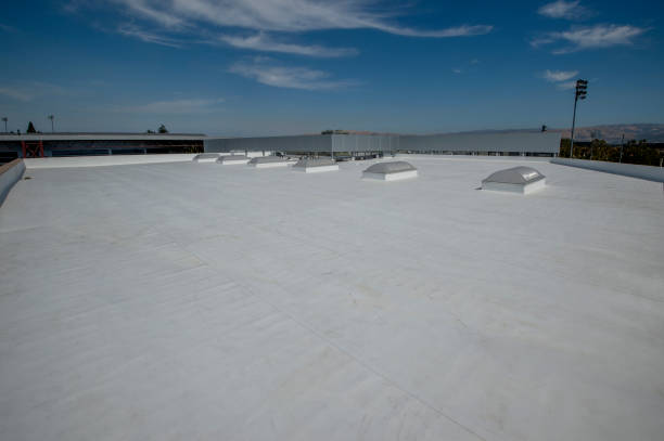 Best Roof Insulation Installation  in Crossett, AR
